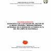 Diagnóstico micro pequeña y mediana empresa forestal región CARL 2007